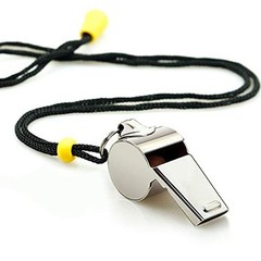 Whistle, 2 Pack Stainless Steel Sports Whistles with Silver(Stainless Steel)