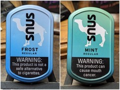 EMPTY Camel Mint/Frost Snus Tin Set (2) Crafts/Survival/Fishing Storage 3″