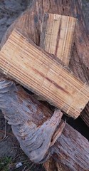 Fire Fuel Starter FAT WOOD LIGHTER KNOT