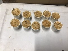 Homemade Pine Chips Fire starters 2 Oz. Lot Of 10