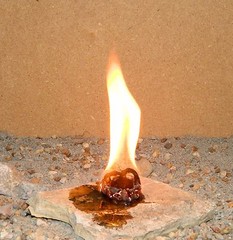 20 X Outdoor Survival Hunting Camping Emergency Heat Light Fire Buddy Tinder