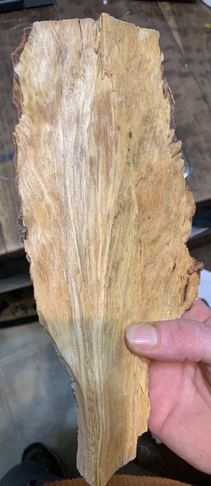 Exceptioal Premium Fatwood Log 8.6 oz (1/2 lb) Sticky HardPine Heartwood Pitchwo