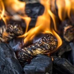 2485277r08 Natural Fire Starter