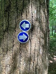 Trail Markers,Reflective Trail Marker for Hunting Hiking Camping & More, Pack-24