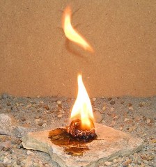 20 X Outdoor Survival Hunting Camping Emergency Heat Light Fire Buddy Tinder