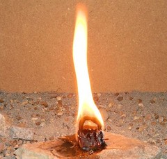 5 X Camping Hunting Outdoor Survival Emergency Heat Light Fire Buddy Briquette
