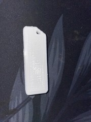 safety whistle