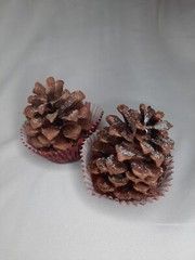 5pk Pinecone Fire Starter Scented Wax Bonfire Fireplace Unique Valentines Gift