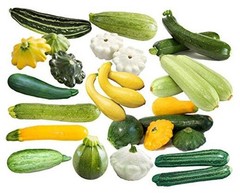 This is a Mix 50 Zucchini and Squash Mix Seeds 12 Varieties Non-GMO Delicious