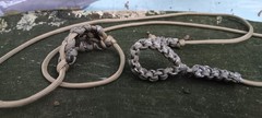 Shepherd Sling One Piece Paracord 12f Weaved Inside Is Emergency Fishing Gear
