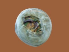 INSECT HEADNET WITH MOSQUITO NET NEW 1 PIECE CAMOUFLAGE NEW