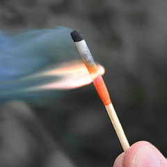 UCO Survival Stormproof and Waterproof Matches for Survival and Camping