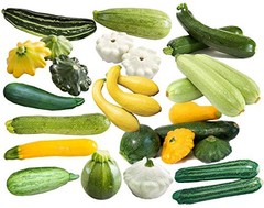 This is a Mix 50 Zucchini and Squash Mix Seeds 12 Varieties Non-GMO Delicious