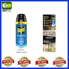 Fast-Acting 18oz Raid Insect Spray for Indoor and Outdoor Use – Kills on Contact