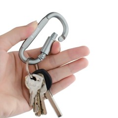 D-FantiX Carabiner KeychainLocking Carabiner Clip with Key Rings Silver 10