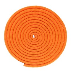 Paracord Planet | Polypropylene 550 Paracord Type III | 10-foot Hank |