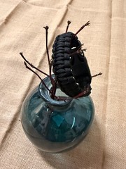 Paracord/Survival Bracelet with Fire Lighter Black for Camping & Outdoor