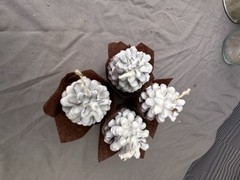 4 Organic Pine Cone Fire Starters Covered in 100% Beeswax•Great Wedding Favors