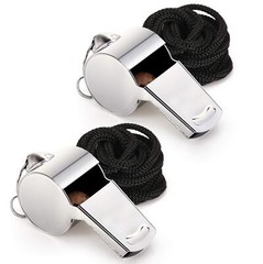 2 Pack Stainless Steel Whistle with Lanyard for Referees Coaches Outdoor Sports