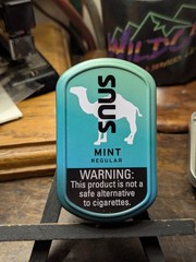 EMPTY Camel Mint Snus Tin Set (2) w/ Phrases 3″ Crafts/Survival/Fishing Storage