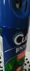 Cutter Backwoods Insect Propellent* Sweat Resistant