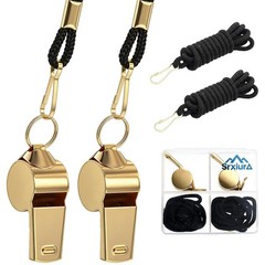 Whistle, 2 Pack Stainless Steel Sports Whistles with Lanyard, Loud Crisp Soun…