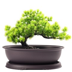 Flowerpots Plastic Imitation Purple Clay Plants Pots Garden Bonsai Pot Trays
