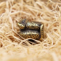 Snake Brass Bead DIY EDC Lanyard Handmade Paracord Bracelet Pendants Accessories