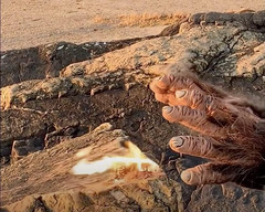 Hemp Fire Starters | Wind Proof, Water Proof, Eco-Friendly Camp Fire Starter Eme