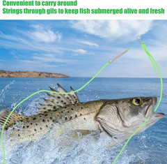 10 Ft Glow in the Dark Paracord Fish Stringer with Stainless Steel Spike, 2 PCS