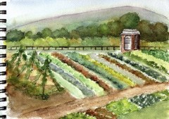 Organic Vegetable Seed 21 Variety Garden Emergency Survival Heirloom Seeds Set !