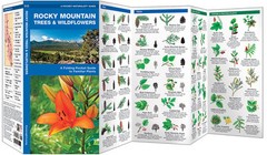 Rocky Mountain Trees & Wildflowers – Food Foraging Guide Bug Out Bag Kit Book