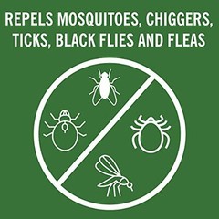 Coleman 40% DEET Bug Repellent Spray Insect Repellent Spray – 6 oz 7356
