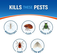 Cutter Backyard Bug Control Spray Concentrate, Mosquito Repellent, Kills Mosquit