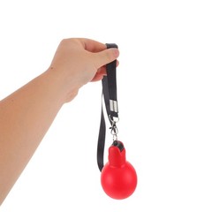 Bright Color Durable Squeeze Whistles with Lanyard for Outdoor Camping 2Pcs