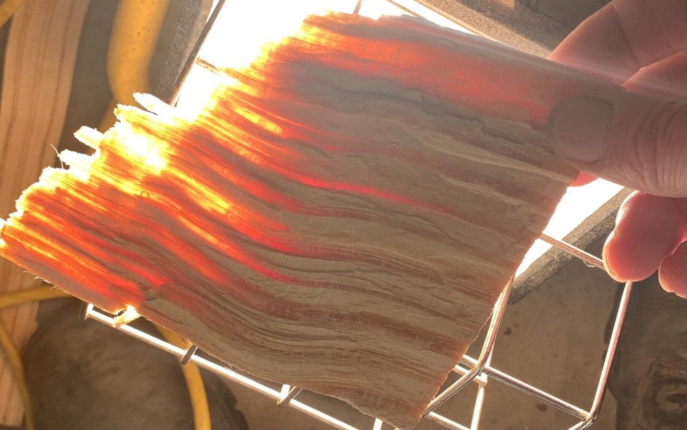 Pure Fatwood Log 2.9 oz (3/16 lb) Sticky HardPine Heartwood Pitchwood Fire Light
