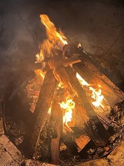 5 lbs FL Pine Fatwood Fire Starter, 100% Natural Kindling Firewood Lighter Knot