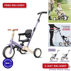 newyoo Toddler Tricycle with Push Handle – 5 in 1 Kids Bike – Purple
