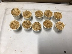 Homemade Pine Chips Fire starters 2 Oz. Lot Of 10