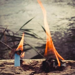 FIRE Starter Plugs (50 Pack) – Extreme Winter & Weather Resistant CAN – 50 Pack