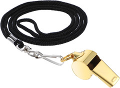 2Pack Coach Whistle with Lanyard Stainless Steel Metal Whistle Colorful Coach Wh