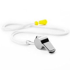 12 Pack Sport Whistles with Lanyar for Coaches, Referees and Officials, Loud …