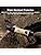 3-in-1 Flashlight, Lantern & Whistle, IP44 Water-Resistant, Dust-Resistant, AAA