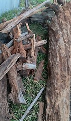 Fire Fuel Starter FAT WOOD LIGHTER KNOT
