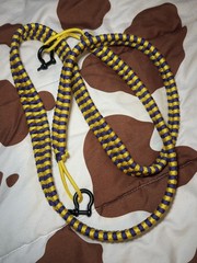 Paracord Turtlebox Strap