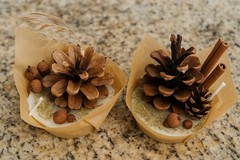 Rustic Hearth Starters Handmade Natural Wax for Fireplace, Wood Stove & Fire Pit