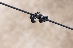 Kumbaya PC1 Survival 550 Braided Paracord