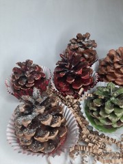 5pk Pinecone Fire Starter Scented Wax Bonfire Fireplace Unique Valentines Gift