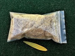 Oakum & cattail fluff – great fire tinder and nesting – bow drill, char cloth