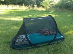 Pop Up Bed Bug Mosquito Net Tent Single Person Mesh